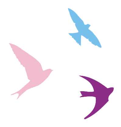 ציפורים עפות מתוך הלוגו של אסתי מולא